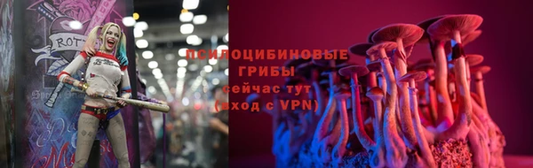 молекула духа Верея