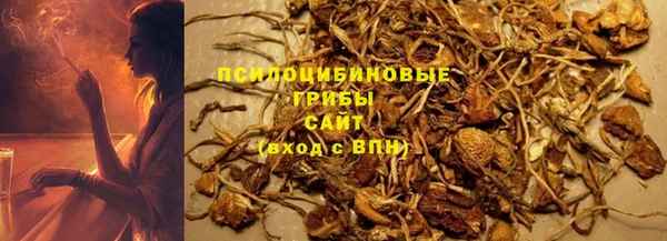 молекула духа Верея