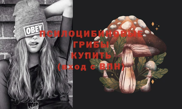 молекула духа Верея